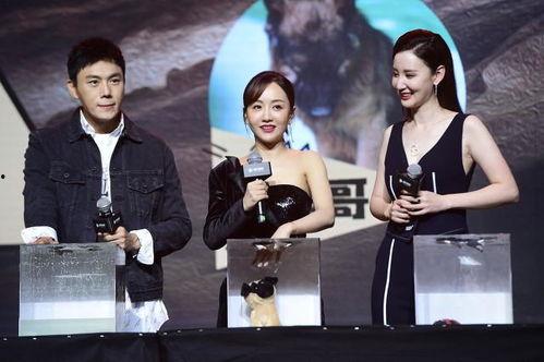 娱乐圈最新吃瓜爆料事件汇总